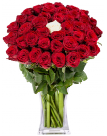 КРАСНЫЙ ЦВЕТ ПОДНЯЛ + 1 БЕЛАЯ РОЗА