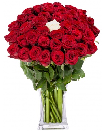 ČERVENÉ RŮŽE + 1 BÍLÁ