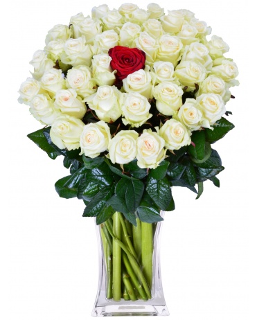 BÍLÉ RŮŽE + 1 ČERVENÁ