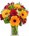 Roses + Gerberas: Delivery of flowers