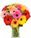 Gerbera bouquet: flowers online