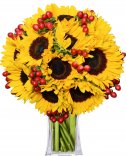 Sunflower: Flower delivery