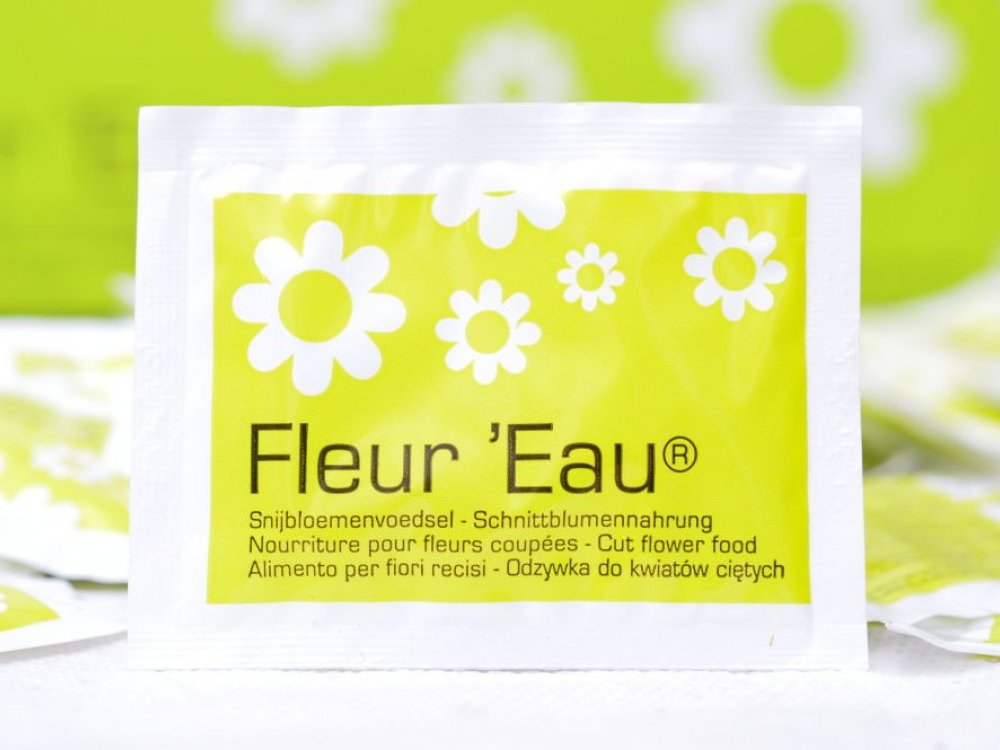 Флер перевод. Fleur Eau порошок для цветов. Fleur Eau инструкция. Универсальное удобрение fleur Eau для свежих цветов. Fleur Eau для цветов инструкция.