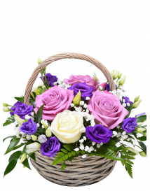 KVĚTINOVÝ KOŠ PURPLE