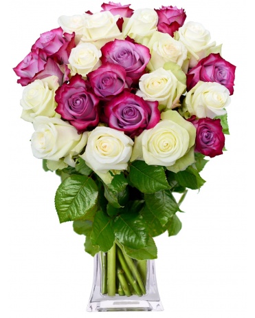 KYTICE RŮŽÍ COLOR