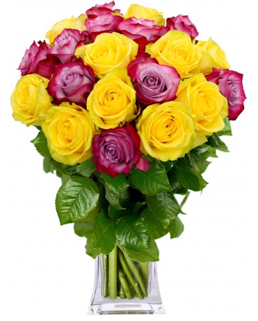 KYTICE RŮŽÍ CRAZY