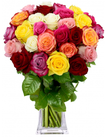 KYTICE RŮŽÍ MIXTA