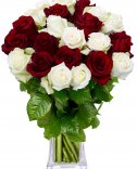 Kytice růží : červené + bílé