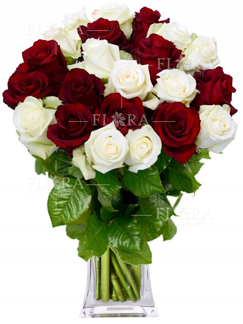 Kytice růží : červené + bílé