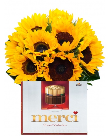 Комплект подсолнечника 1