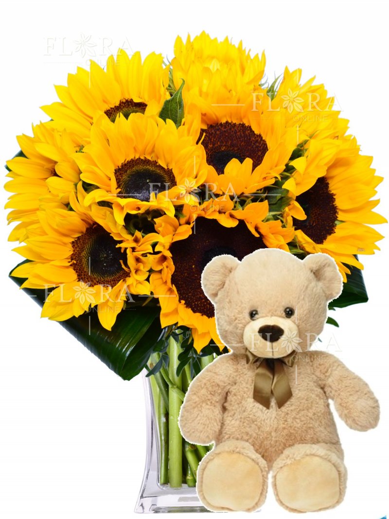 Sunflower and plush teddy bear - flower delivery