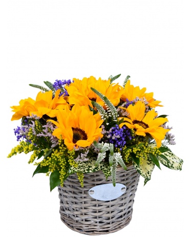 KVĚTINOVÝ KOŠ SLUNEČNIC