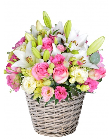 KVĚTINOVÝ KOŠ CORAL