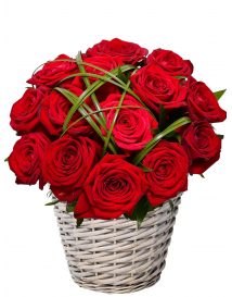 KVĚTINOVÝ KOŠ ADRIANE