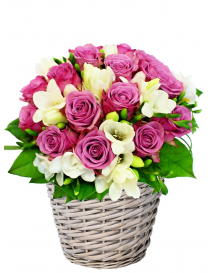 KVĚTINOVÝ KOŠ VIVIEN