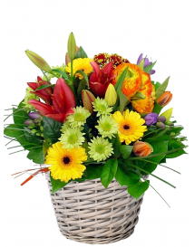 KVĚTINOVÝ KOŠ BONITA