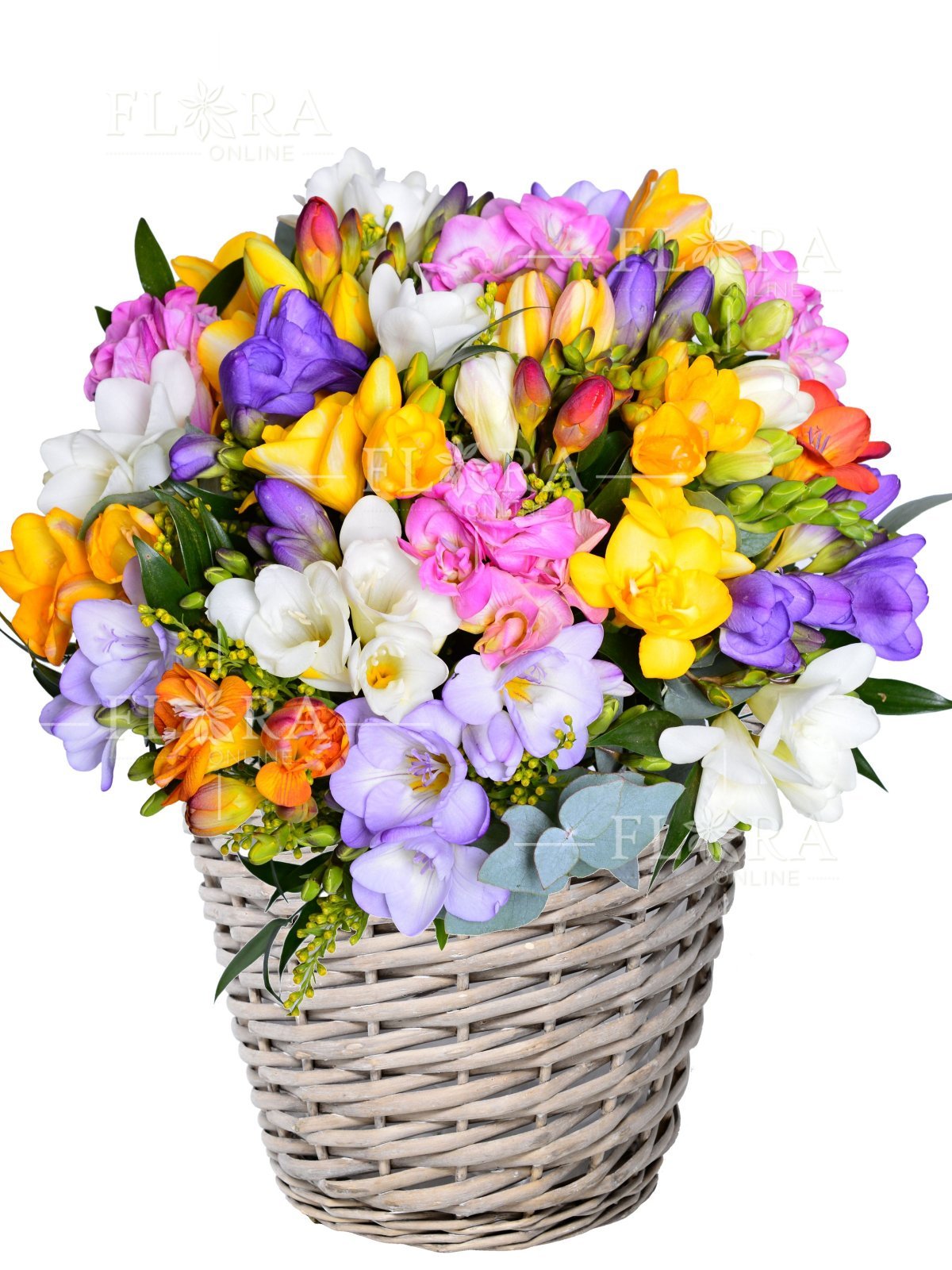 flower basket full of fragrant freesias | flora online