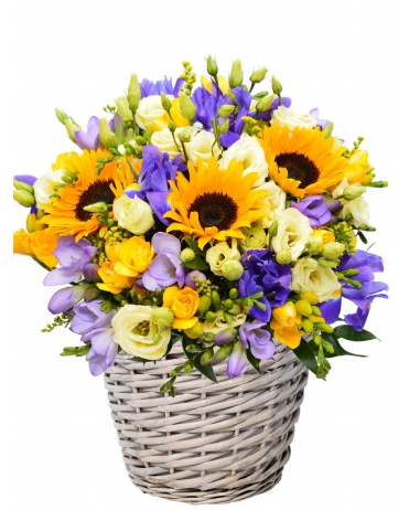 KVĚTINOVÝ KOŠ KASTY