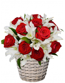 KVĚTINOVÝ KOŠ DARCIA