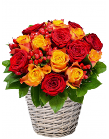 KVĚTINOVÝ KOŠ ALEXIS