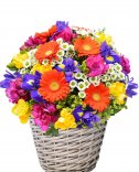 Farebný kvetinový kôš - flora online