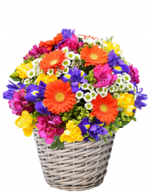 KVĚTINOVÝ KOŠ CRAZY