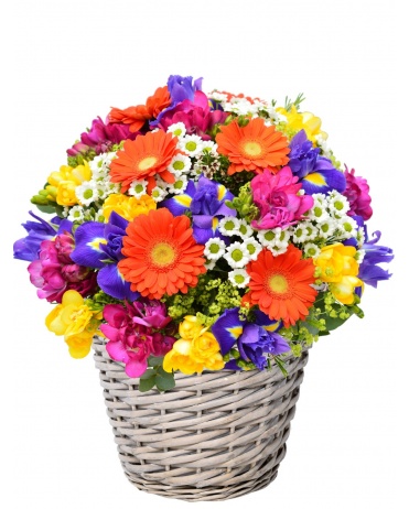 KVĚTINOVÝ KOŠ CRAZY