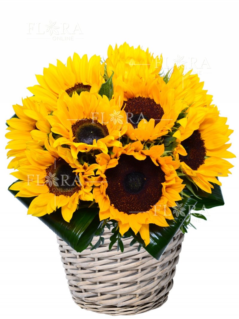 Sunflower - Flower basket