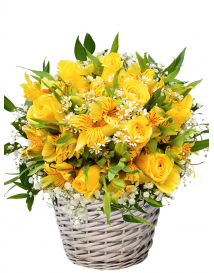 KVĚTINOVÝ KOŠ SANNY