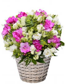 KVĚTINOVÝ KOŠ Z EUSTOMY A FRÉZIÍ