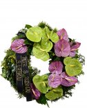 Funeral wreath - green and purple anthurium