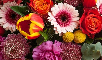 Řezané květiny a jejich největší vývozci