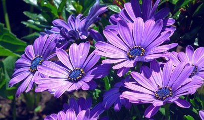 Kouzlo zahrady a zahradničení