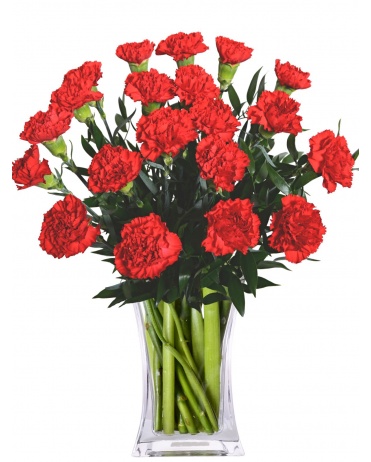 ČERVENÉ KARAFIÁTY