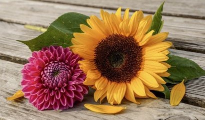 Jednotlivé barvy květin a jejich symbolika