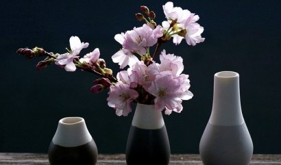 Péče a starost o květiny