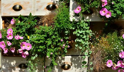 Zahradní stěny a vertikální zahrady