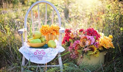 Jaké květiny k zářijovým narozeninám