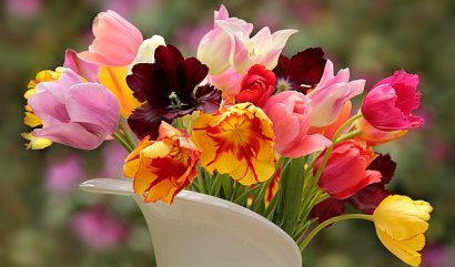 Řezané květiny, které vydrží