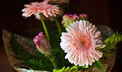 Objednávka květin pro lepší náladu