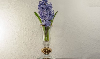 Aranžmá s vázou ve tvaru trumpety