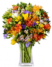 ФРЕЗИЯ + АЛЬСТРОМЕРИЯ