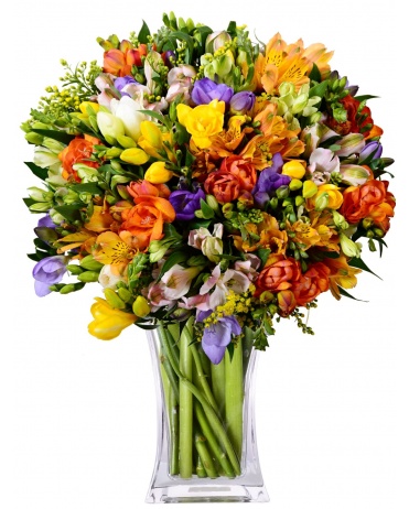 FREZIE + ALSTROMERIE