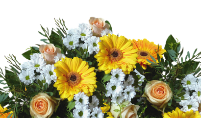 Jakou květinu k narozeninám?