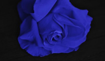 Věnování kytice mužům