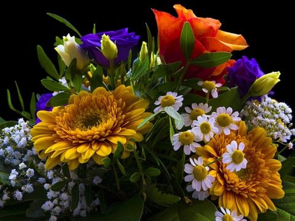 Proč nezkusit objednat kytici z online květinářství