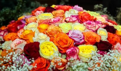 Jak udržet valentýnské růže dlouho svěží