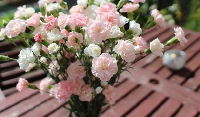 Jakou květinu ke Dni matek