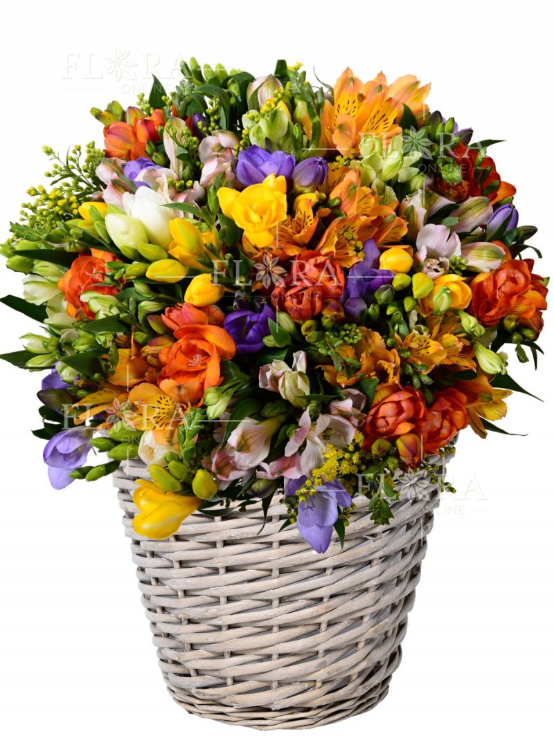 Альтромерия и цветочная корзина с фрезиями  Дороти