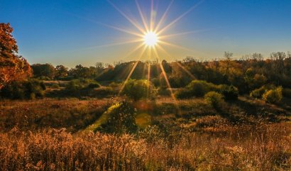 Výsadba podle sluneční mapy